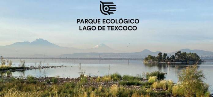 Así Será El Nuevo Parque Ecológico De Texcoco Uno De Los Más Grandes Del Mundo Sin Línea Mx 8851