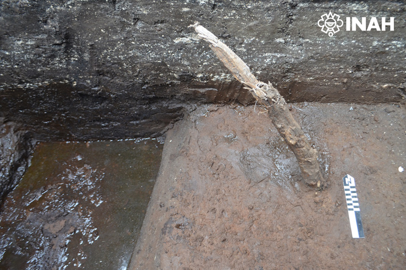 evidencias de chinampas arqueológicas en Chalco