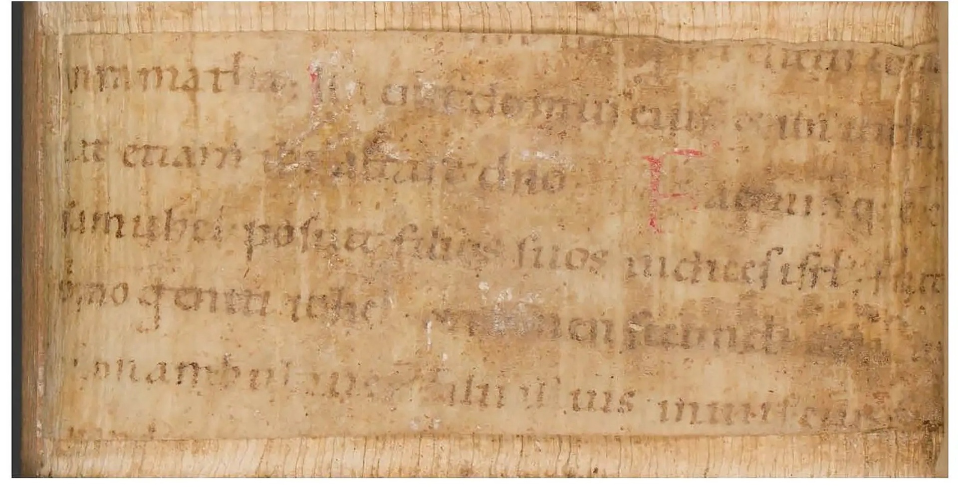 Una visita al hospital revela secretos medievales escondidos en libros