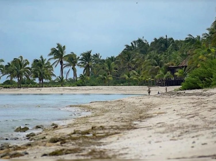 ¿Cuánto pagó Alito por playa en Campeche?