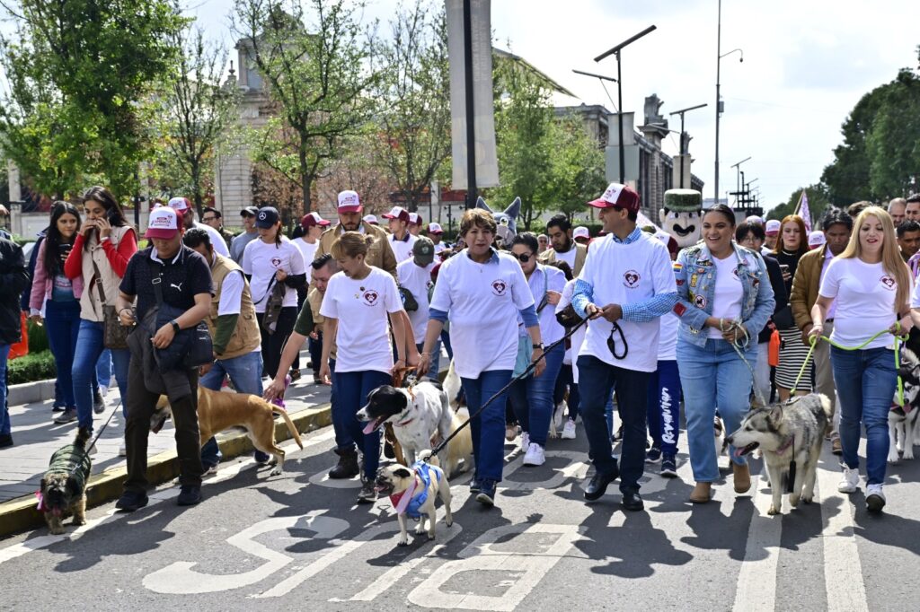 Delfina Gómez encabeza caminata a favor de los animales