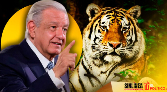 AMLO y el tigre