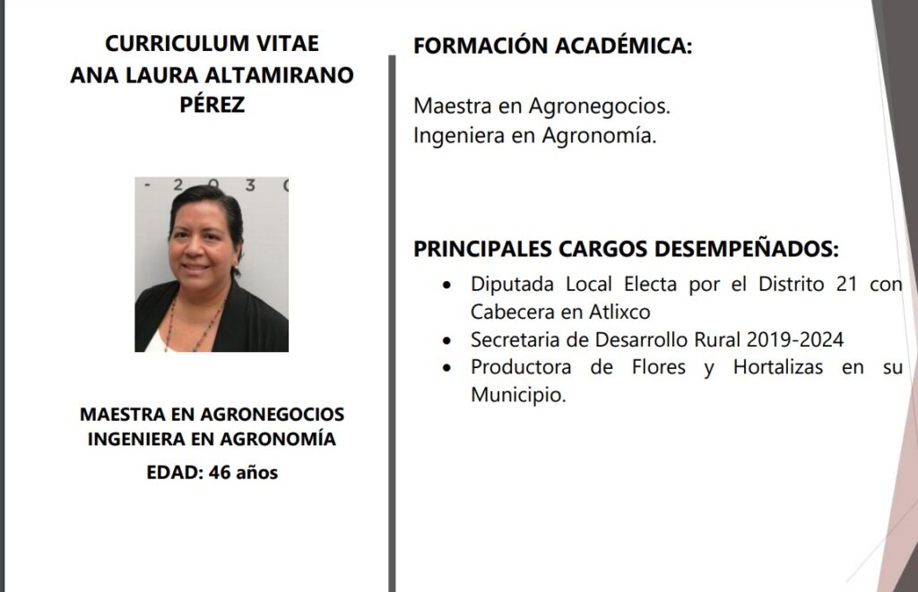 Curriculum Ana Laura Altamirano, gobierno de Puebla