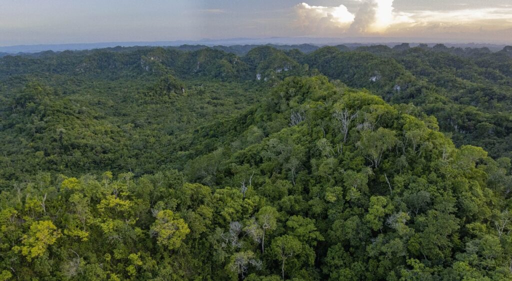 Grupo Xcaret planea deforestar 160 hectáreas