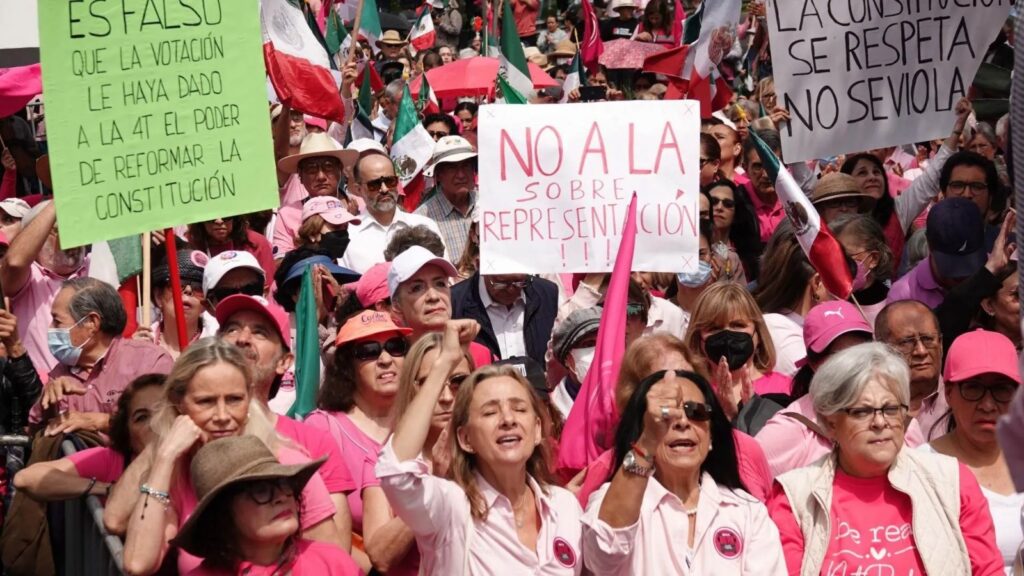 Marcha Marea Rosa contra sobrerrepresentación 