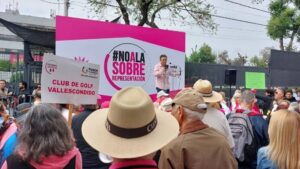 Marea rosa contra la sobrerrepresentación de morena