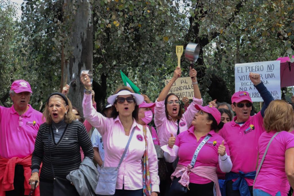 Marea Rosa protesta contra reforma al PJ y sobrerrepresentación