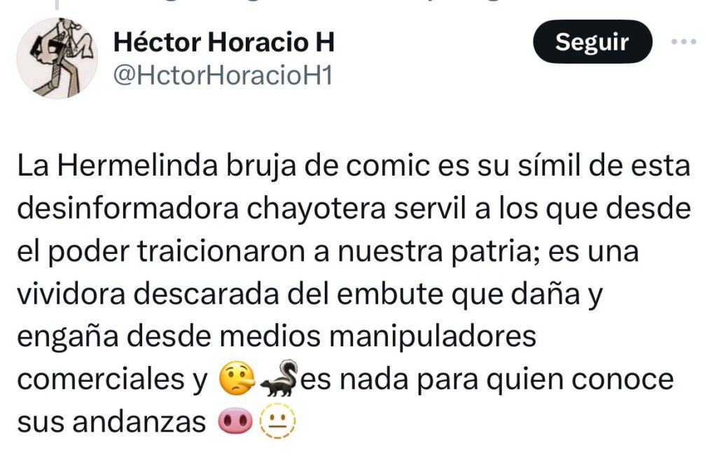 Bruja de cómic, desinformadora y chayotera