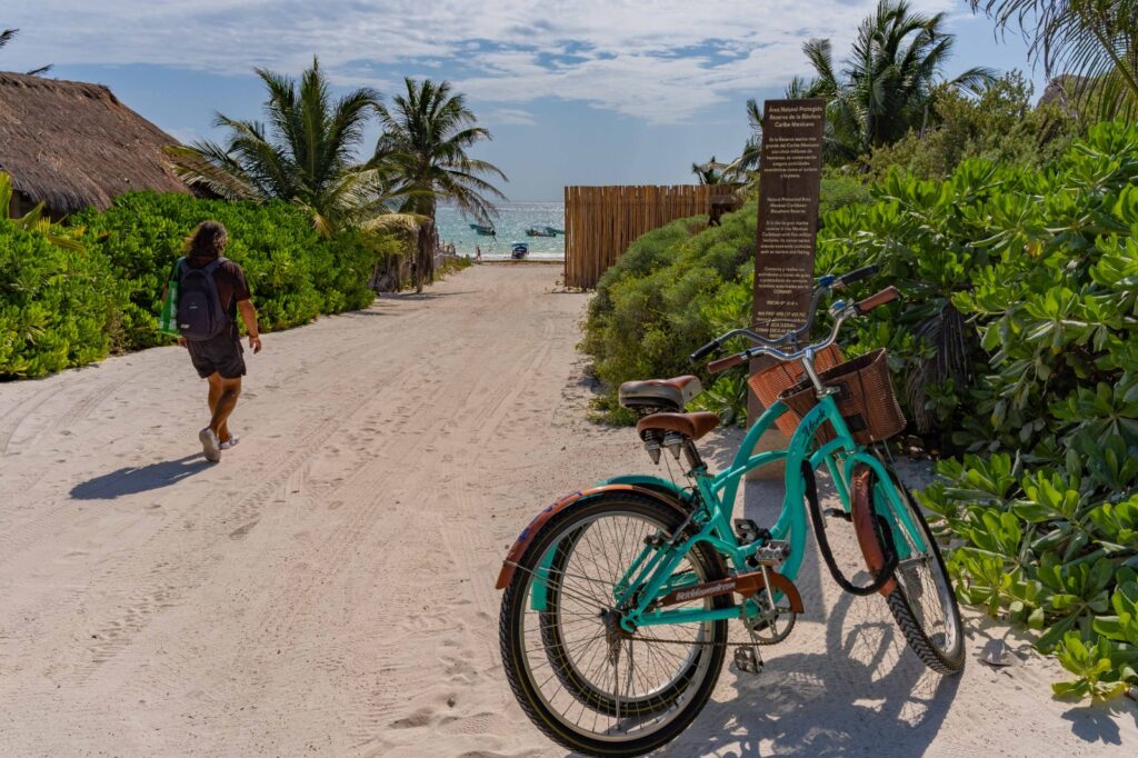 Parque del jaguar incluye accesos públicos a playas