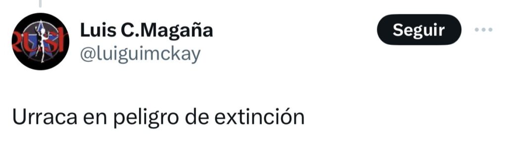 Urraca en peligro de extinción