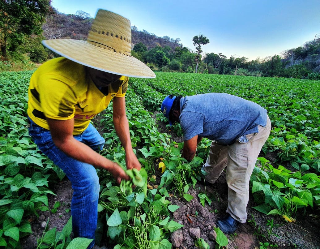 Alejandro Armenta apoyará a agricultores de Puebla