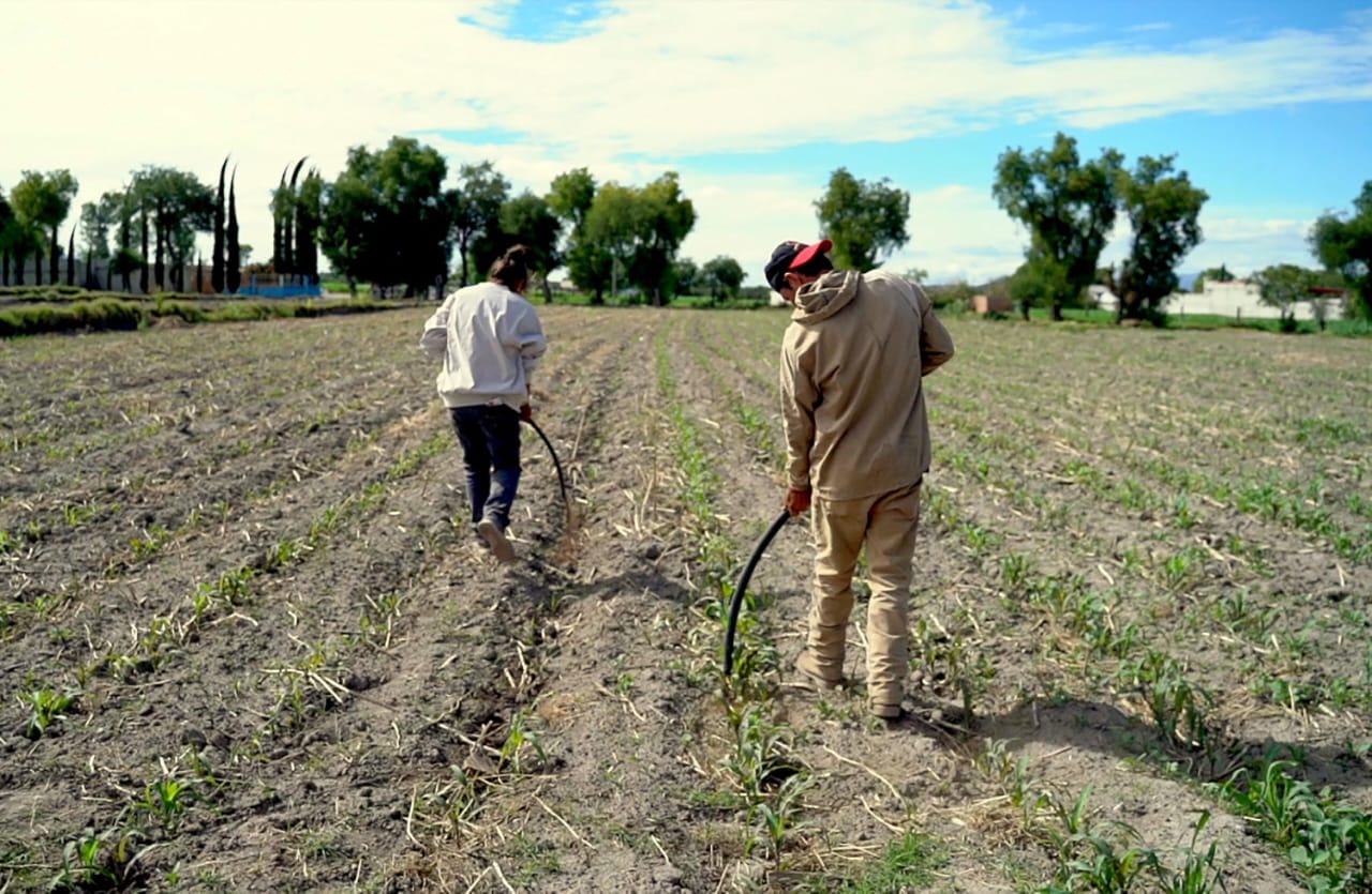 Alejandro Armenta beneficiará a productores