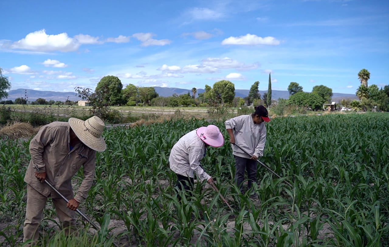 Alejandro Armenta contribuirá a la soberanía alimentaria