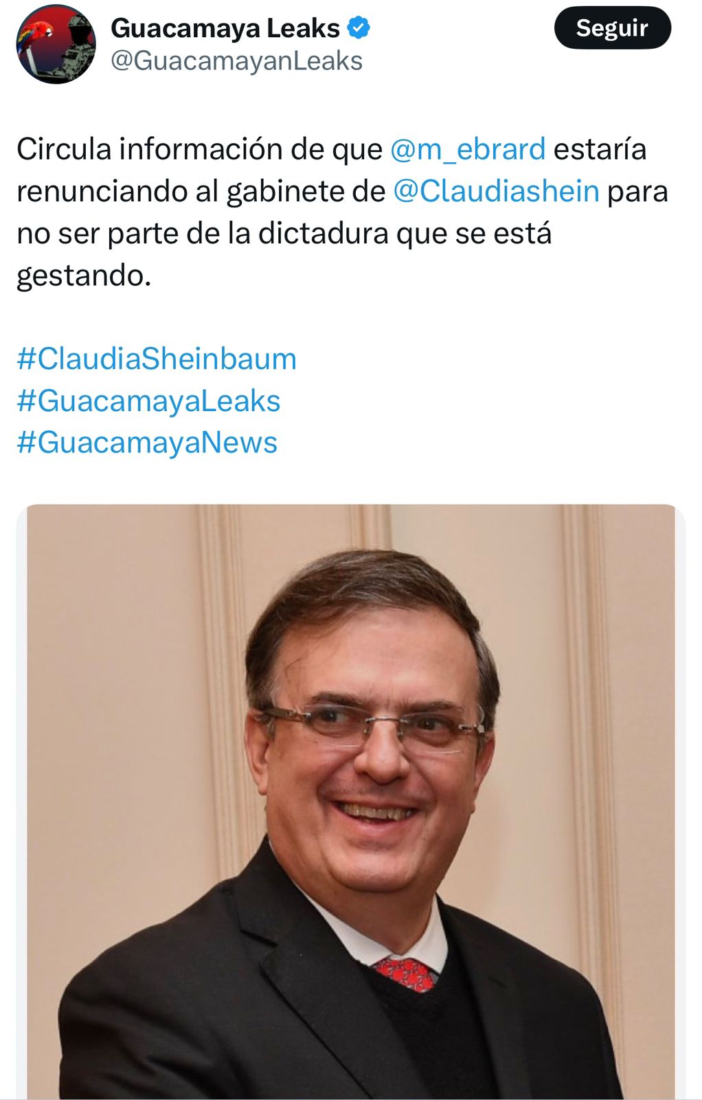 Guacamaya leaks Ebrard