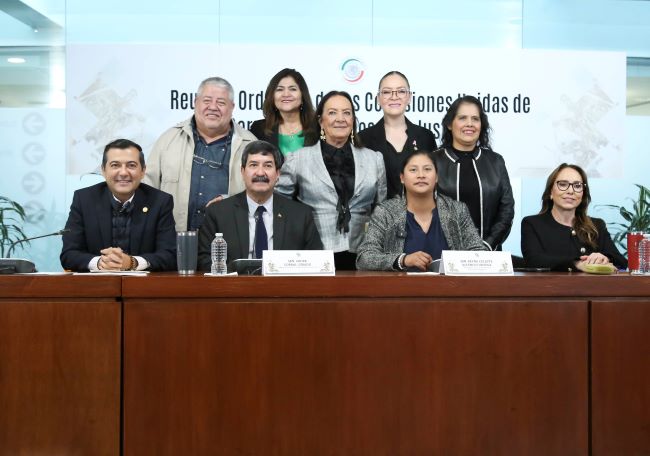 Comisiones del Senado emiten convocatoria renovación CNDH