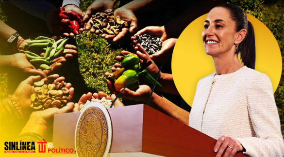 Sheinbaum presenta plan para alcanzar soberanía alimentaria