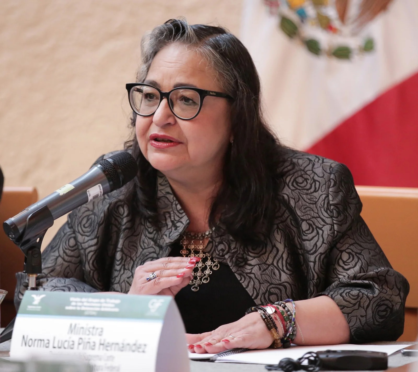 Norma Piña Hernández advierte de desastre económico