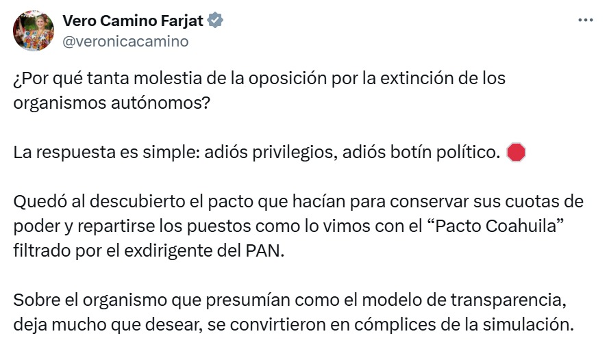 Verónica Camino Farjat X