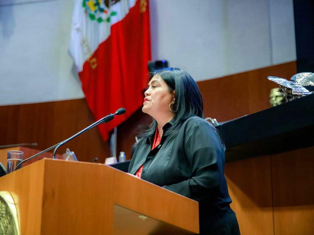 Guadalupe Chavira Senado