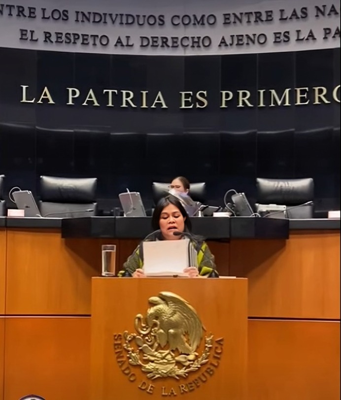 Senadora Guadalupe Chavira en Pleno Senado