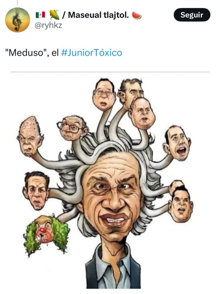 Claudio X. González, Meduso