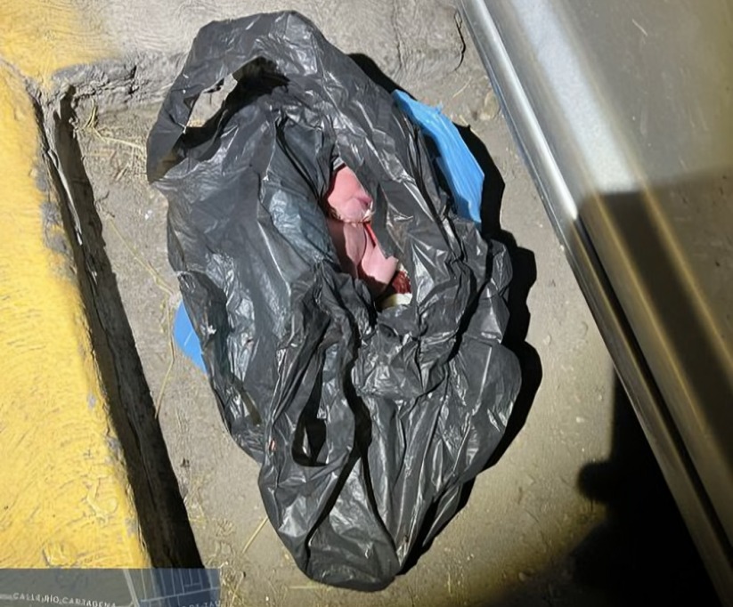 Bebé abandonado