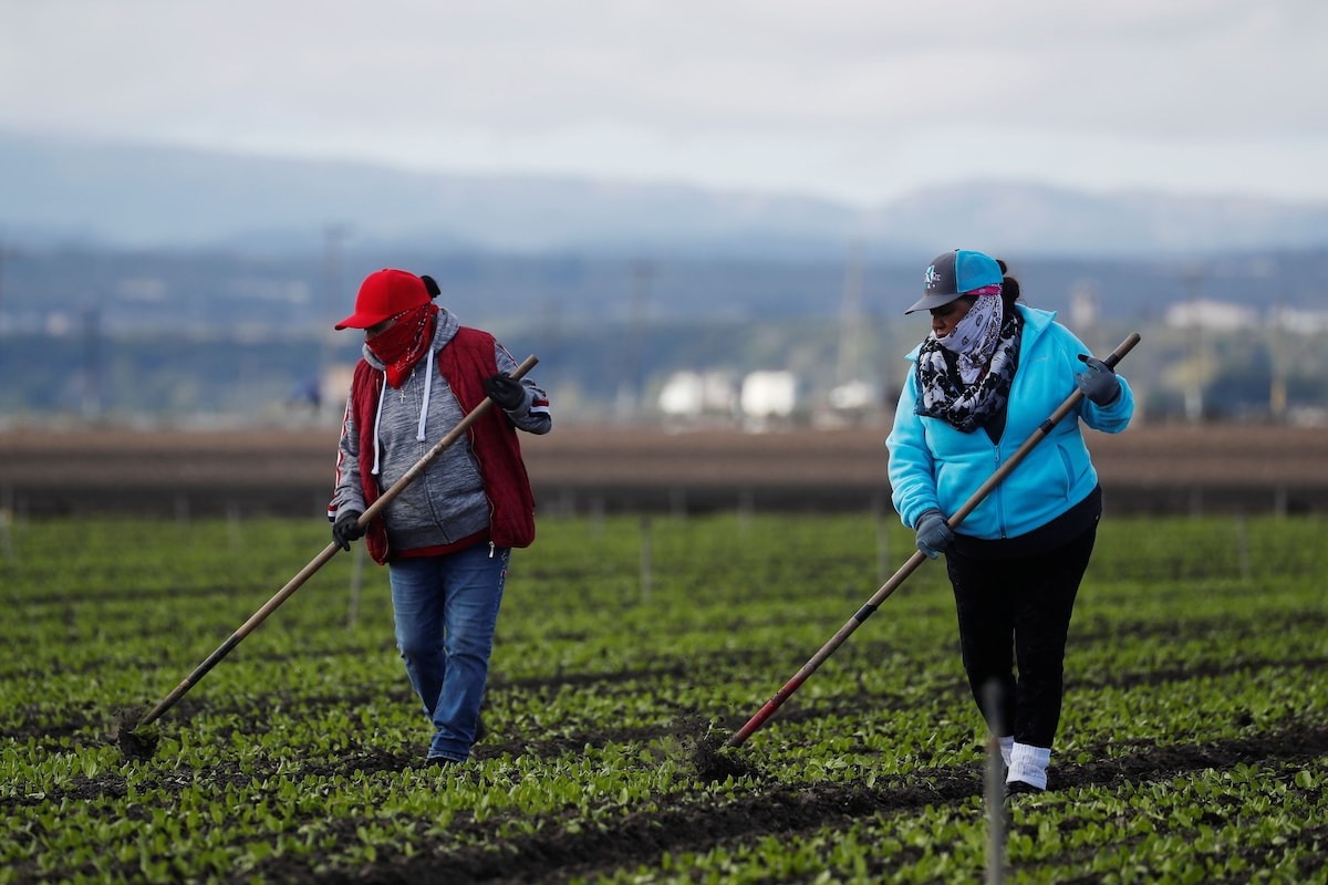 Empresario destaca importancia de población migrante en EU