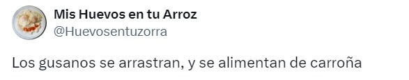 Gabriel Quadri gusano