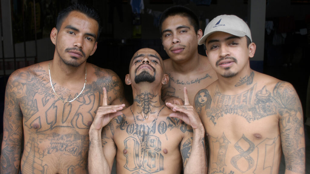 MS-13
