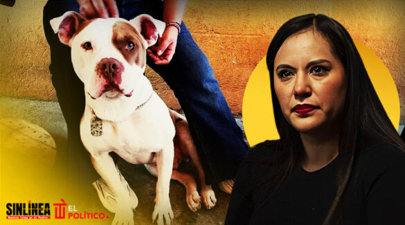 Sandra Cuevas presumió "adopción" de perrito y lo abandonó