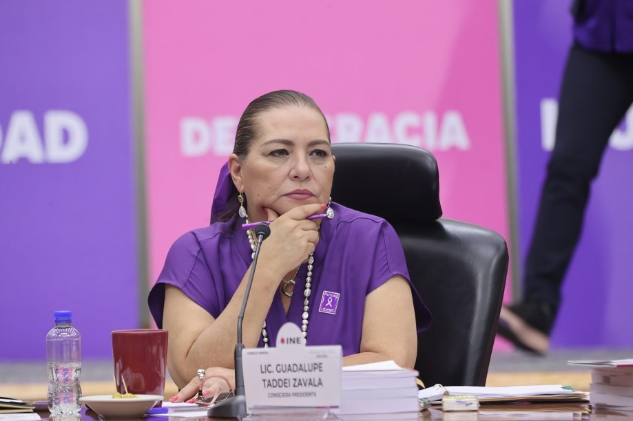 Taddei anuncia app para ensayar elección judiciaal
