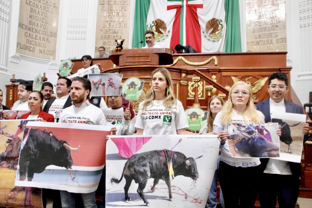 Corridas de toros sin violencia