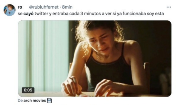 Elon Musk caída X