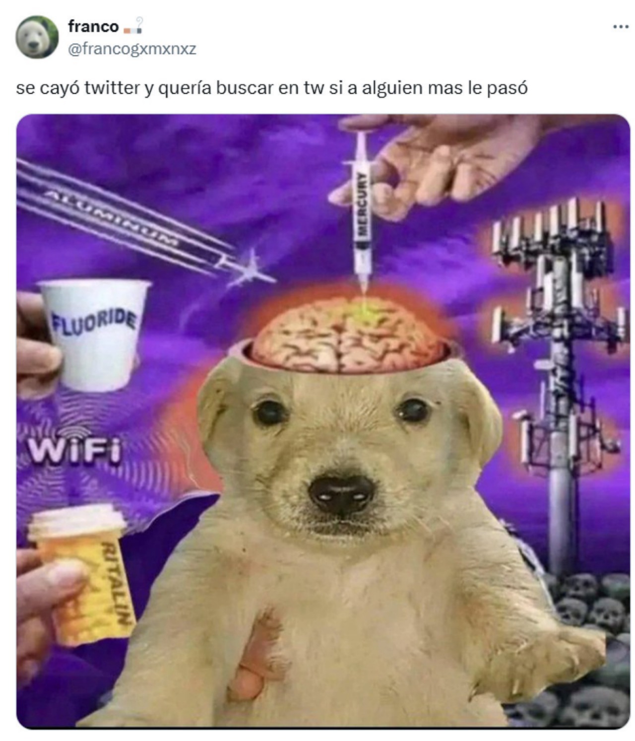 Elon Musk caída