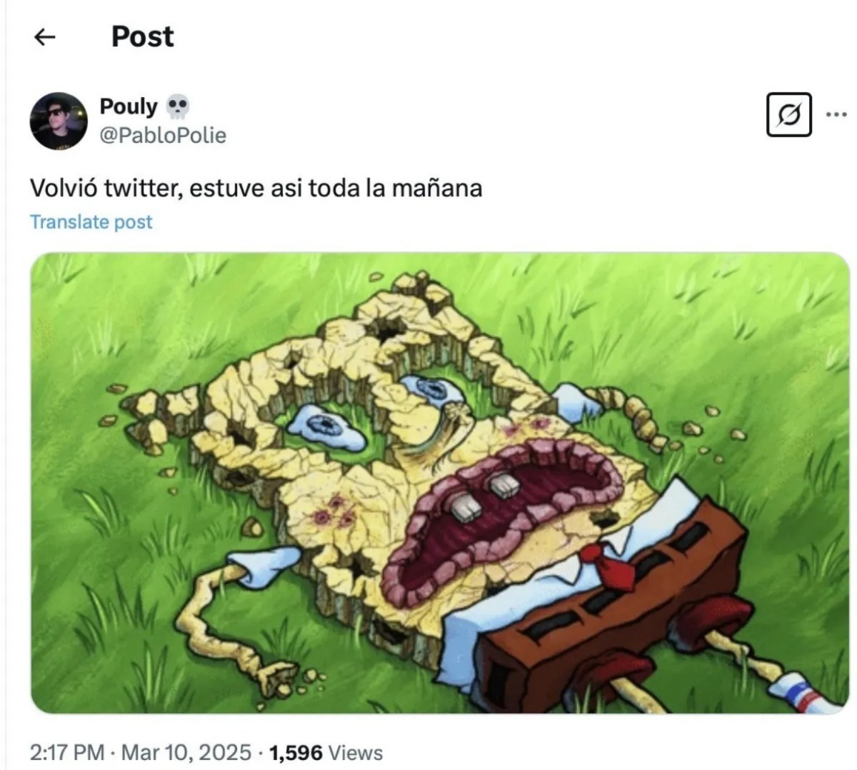 Elon Musk memes