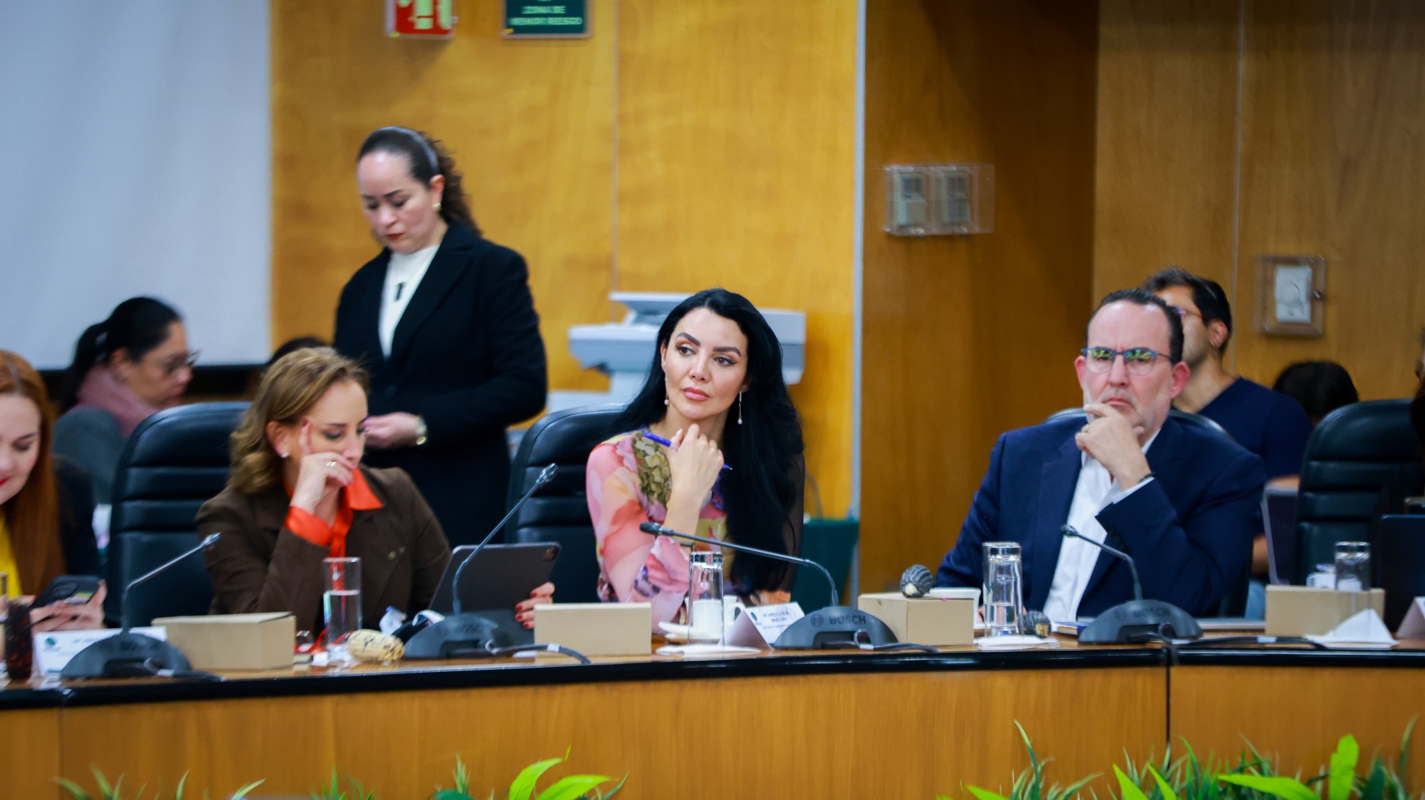 Gaby Jiménez apoya a Sheinbaum