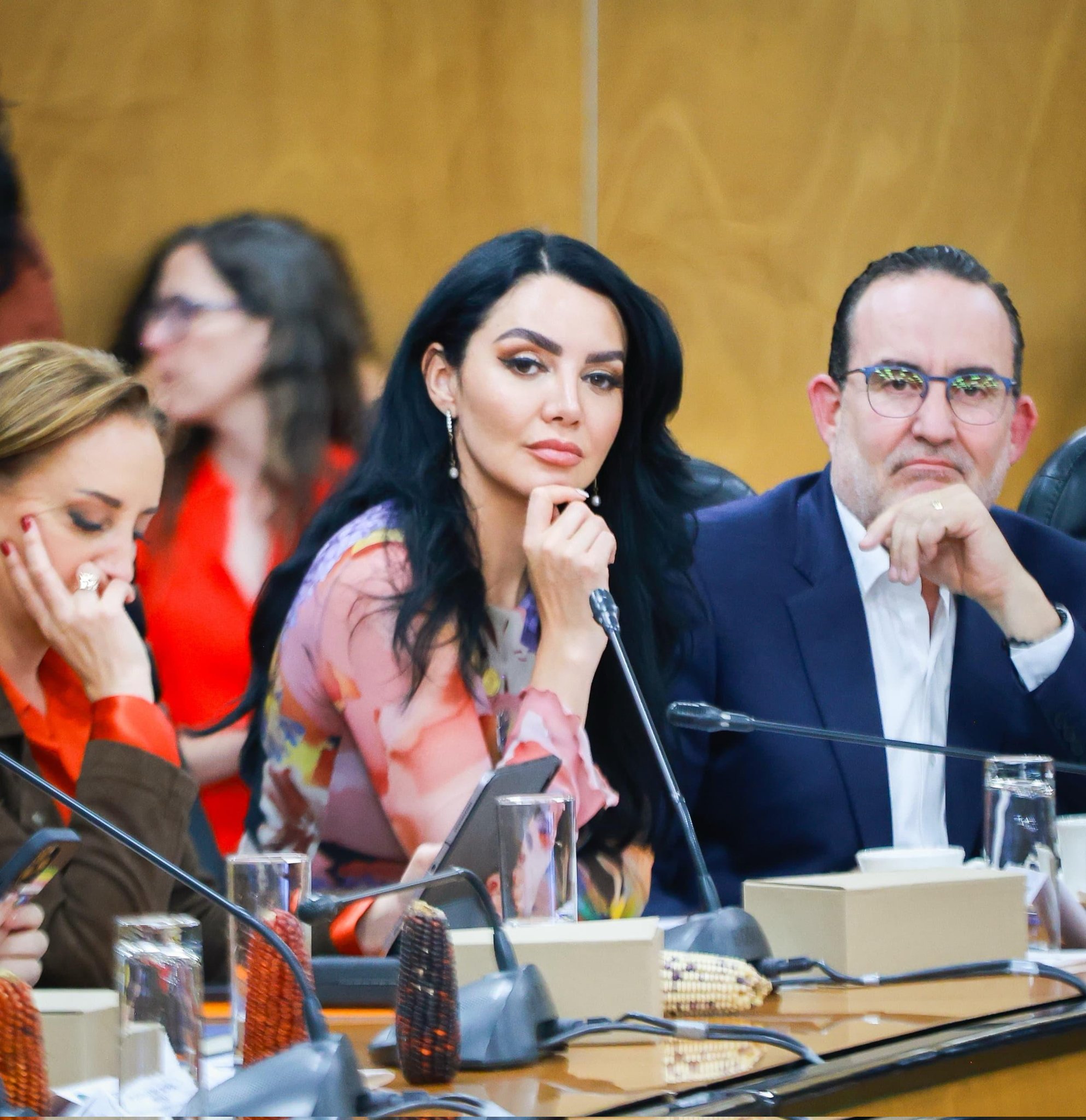 Gaby Jiménez vs nepotismo