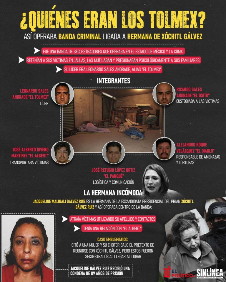 Infografía Los Tolmex