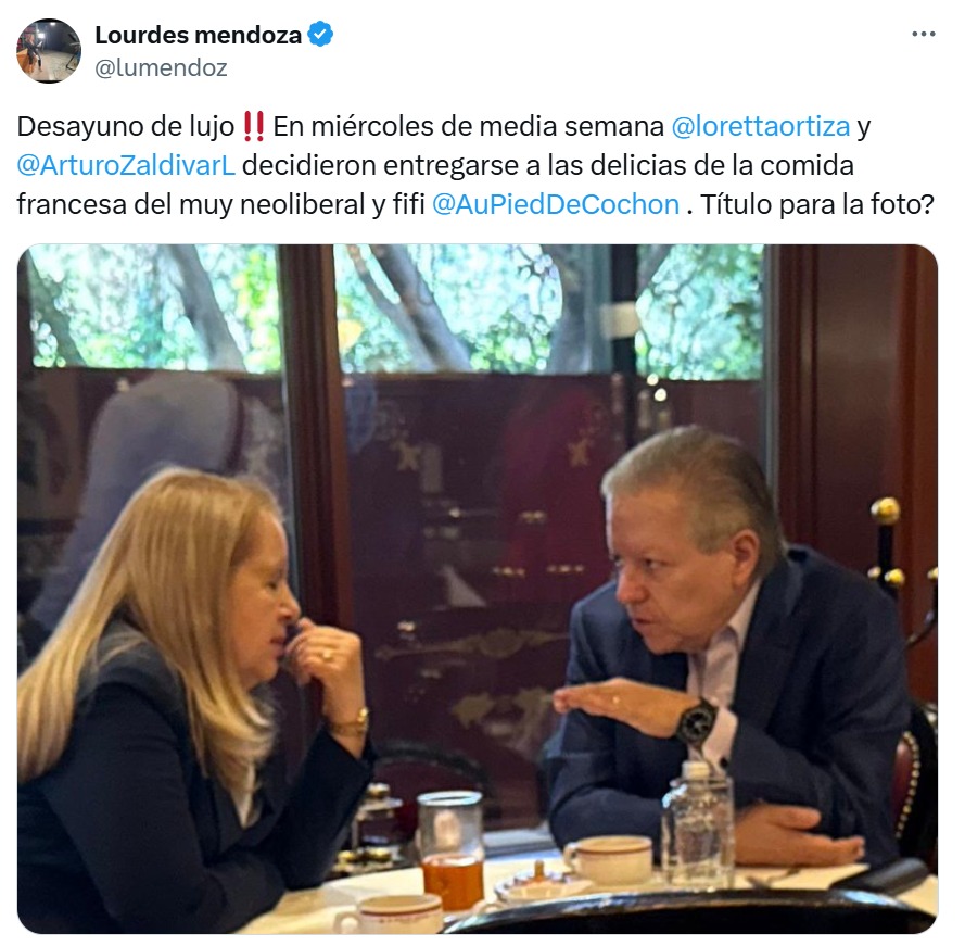 Lourdes Mendoza en X
