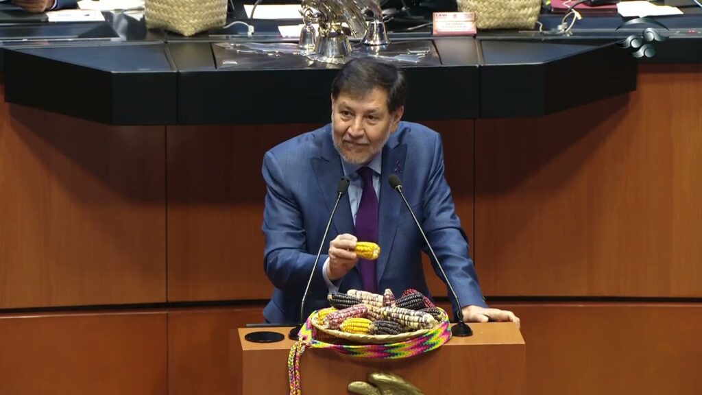 Noroña contra Anaya, Maíz