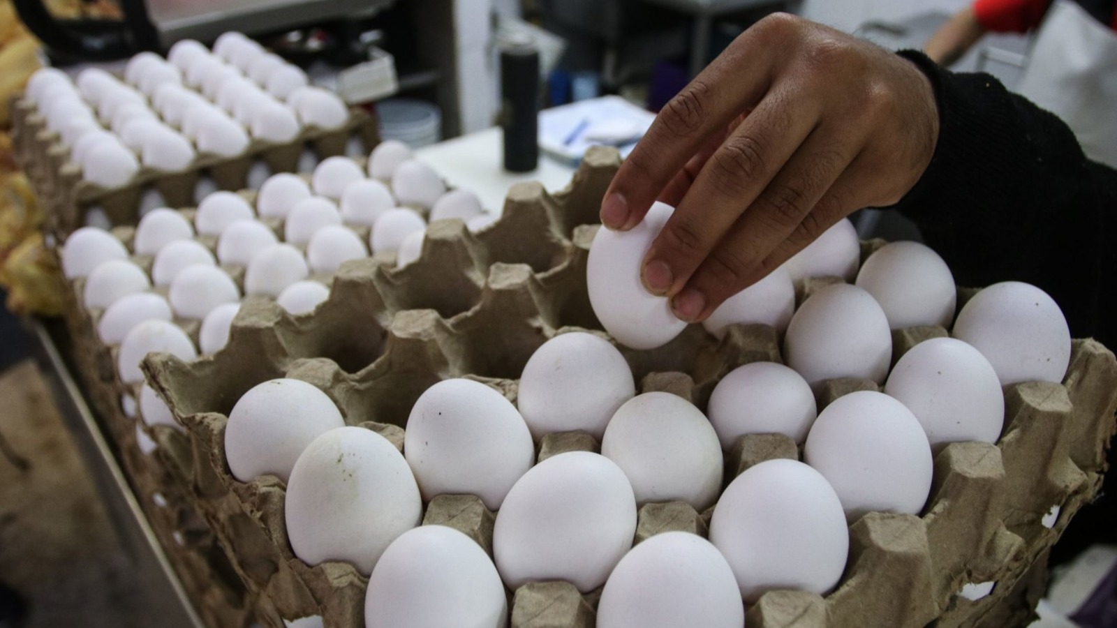 Patrulla fronteriza continúa incautando más huevo que fentanilo