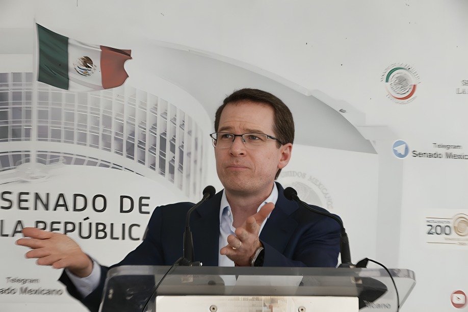 ¿Qué dijo Anaya sobre campañas de candidatas a la SCJN?