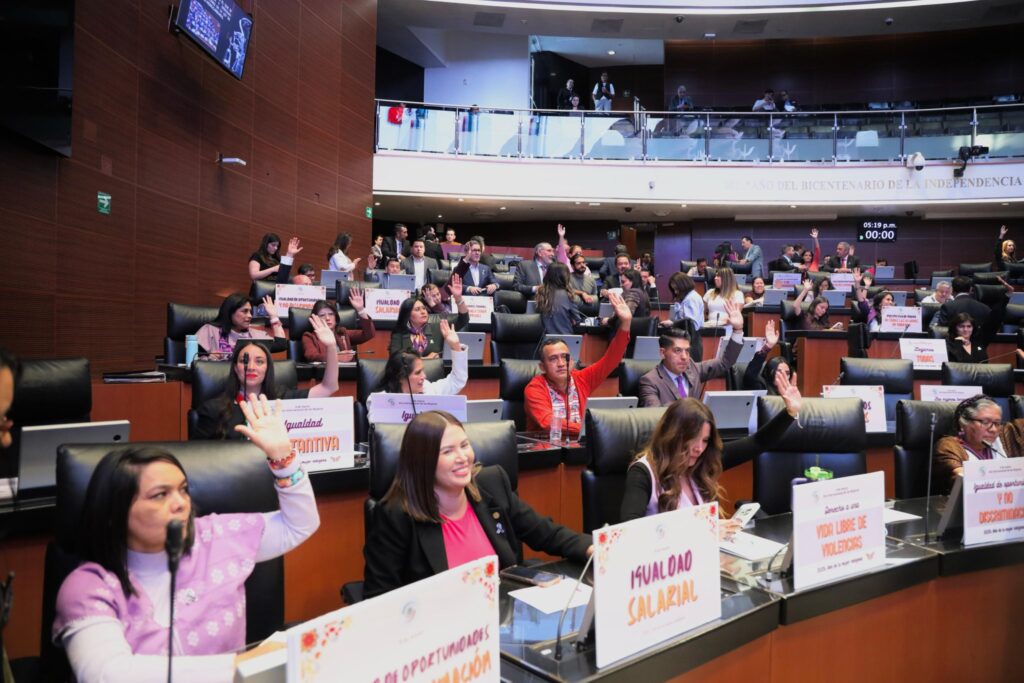 Senado 8M