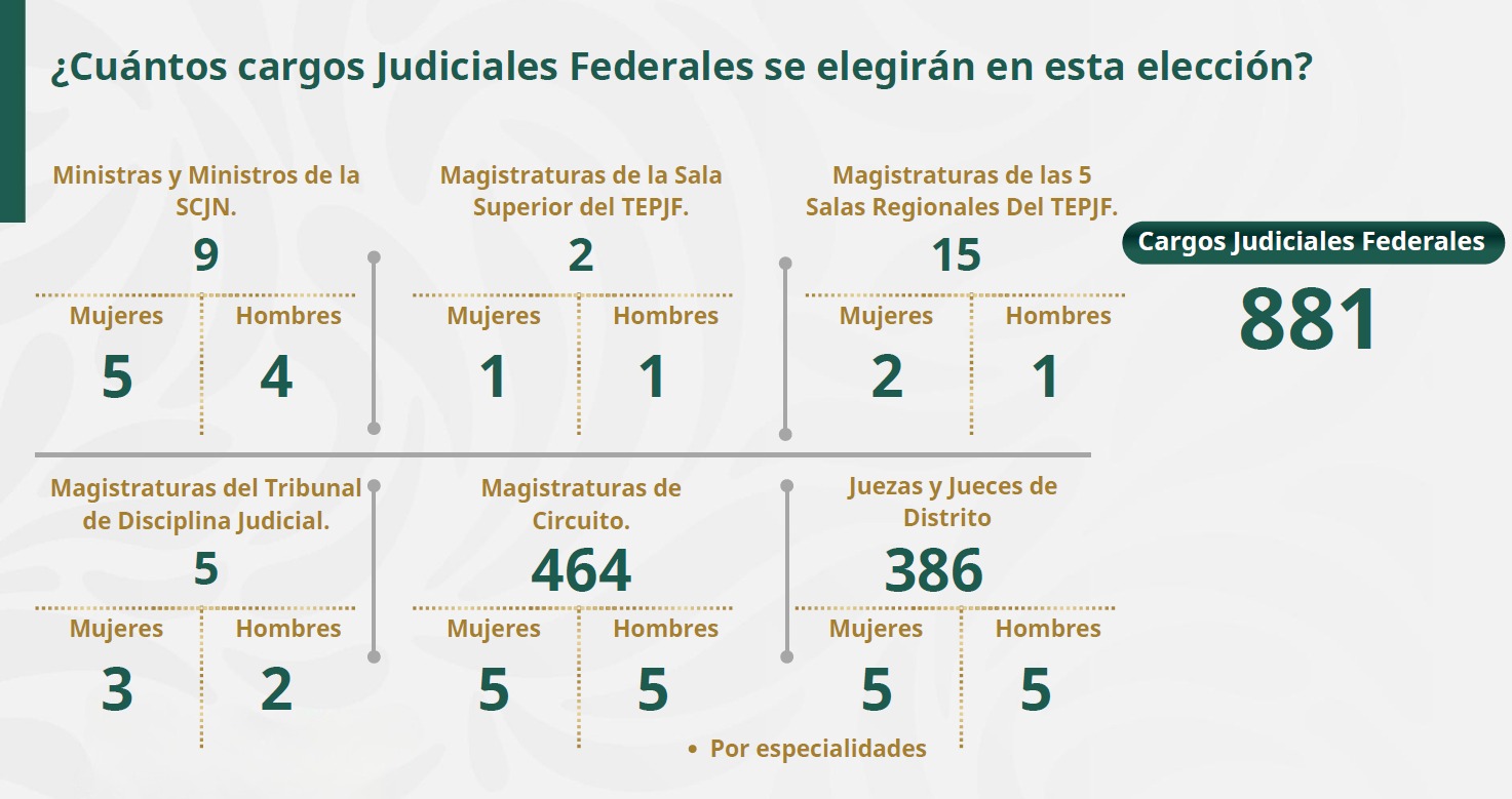 Cargos en elección judicial