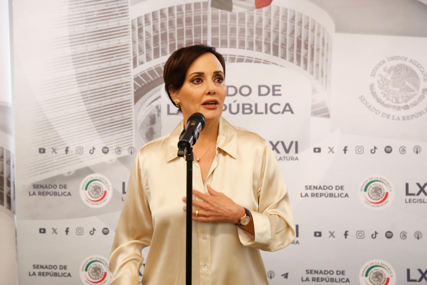 Lilly Téllez ofende a Sheinbaum por supuesto tratamiento