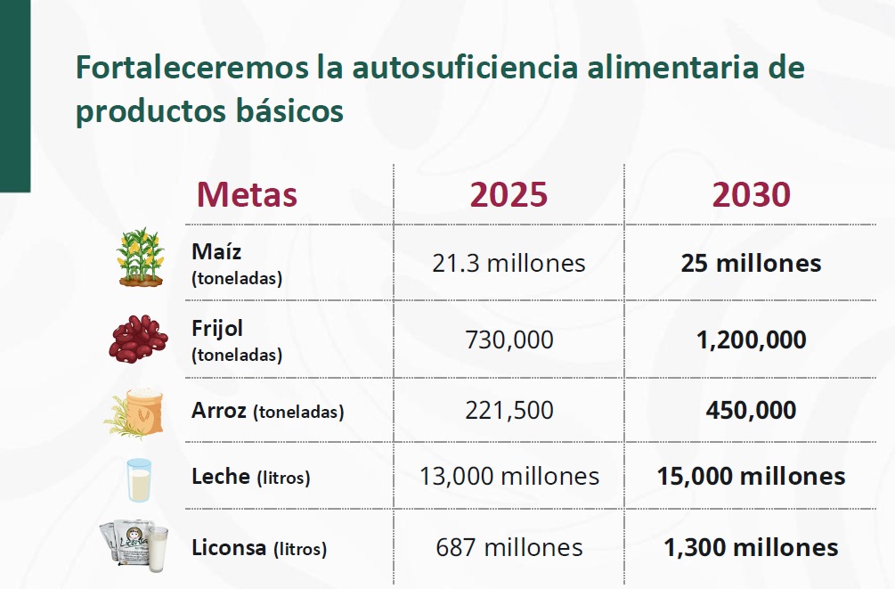 Metas del Plan de autosuficiencia