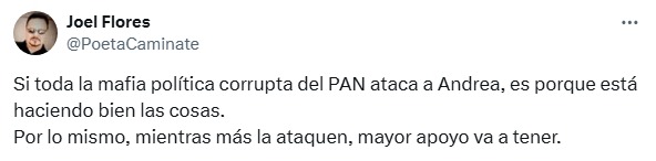 PAN vs. ciudadanos