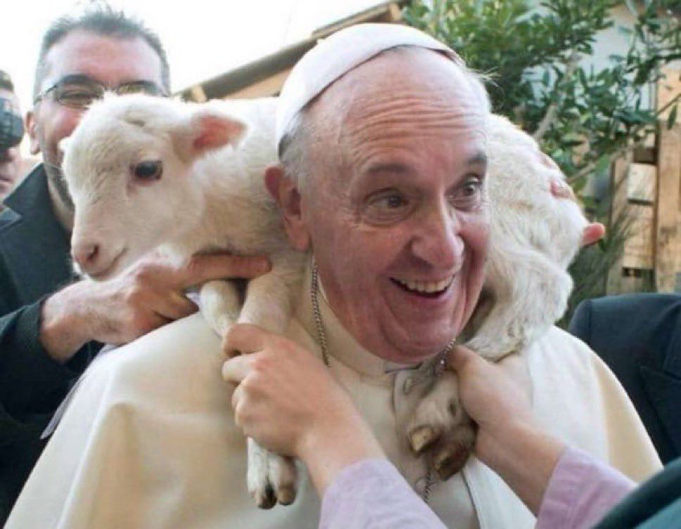 Papa Francisco con una cabrita