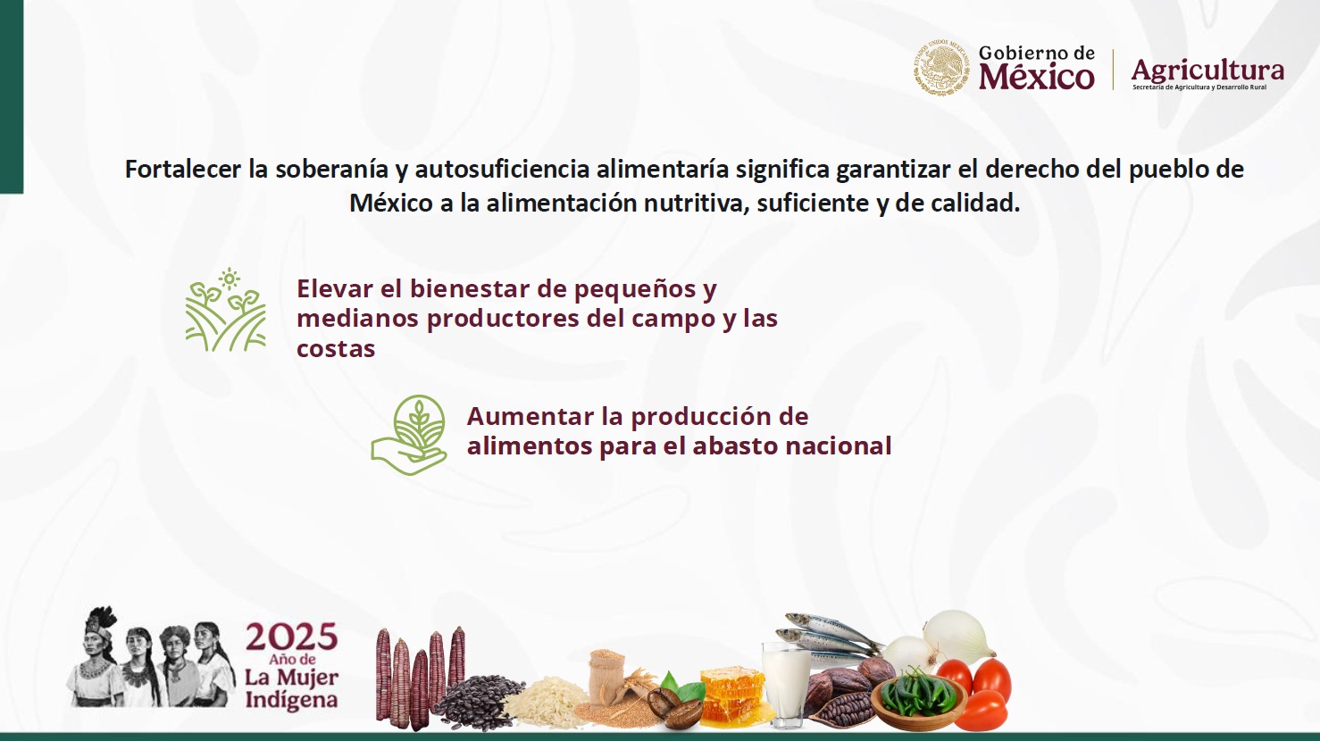 Plan de autosuficiencia