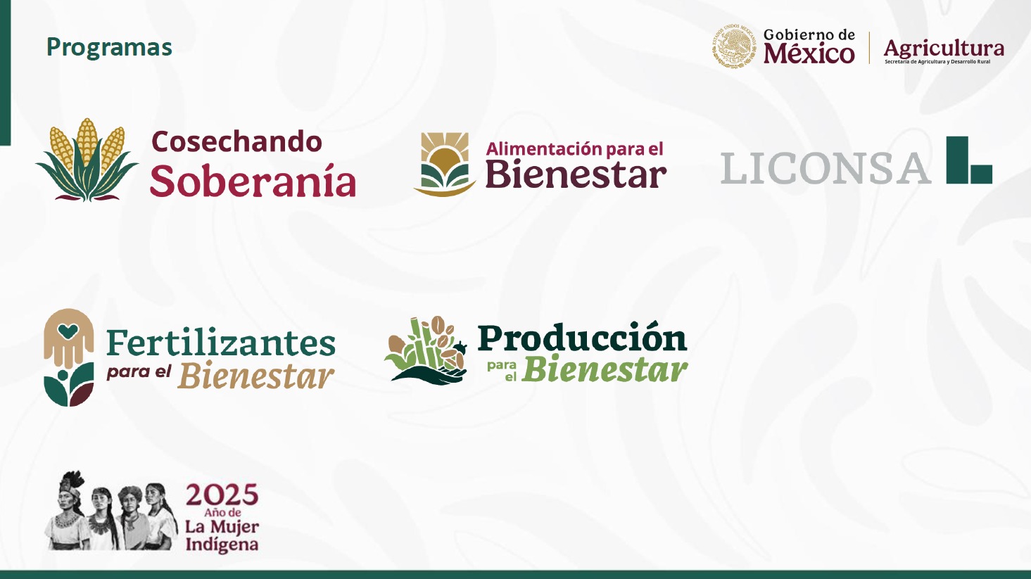 Programas del Plan de autosuficiencia